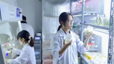 Reforming research funding mechanisms: Using results as the benchmark