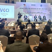 Expectations of the business community for VCCI