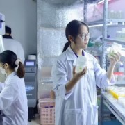 Reforming research funding mechanisms: Using results as the benchmark