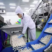 Solving capital bottlenecks to help businesses expand globally