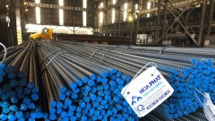 HPG strengthens its domestic market position
