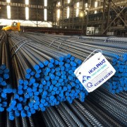 HPG strengthens its domestic market position