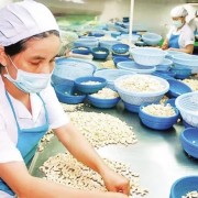Meeting green packaging requirements can boost Viet Nam’s export edge