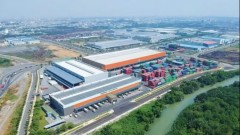 Green logistics: A lever for responding to volatility and creating sustainable growth