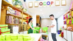 Transparency of household business cash flows enhanced