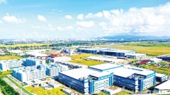 Vietnam’s IPs Must Lead Transition to Green, Climate-Resilient Economy