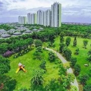 Viet Nam accelerates shift towards net zero emissions