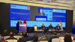 Connecting Vietnamese and Indian businesses toward new value chains