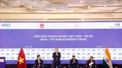 Top leader attends Viet Nam-India Business Forum in Mumbai