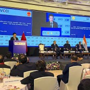 Connecting Vietnamese and Indian businesses toward new value chains