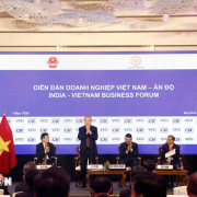Top leader attends Viet Nam-India Business Forum in Mumbai