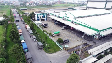 Viet Nhat Group and the investment story in Hung Yen