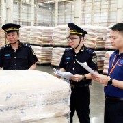 Bac Ninh customs supports import-export businesses