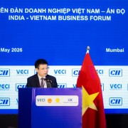 Connecting Vietnamese and Indian businesses toward new value chains
