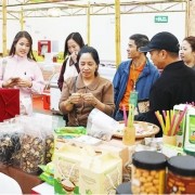 Removing bottlenecks for cooperatives to accelerate growth