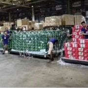 Second cargo flight continues to pave the way for Vietnamese agricultural products