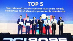 Top provinces and cities with "Good" governance quality honored
