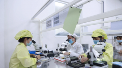 Viet Nam's shift from mere FDI attraction to strategic selection