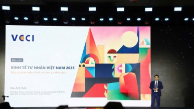 Vietnam's private sector&nbsp;in 2025: New drivers needed for&nbsp;breakthroughs