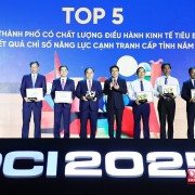 Top provinces and cities with "Good" governance quality honored