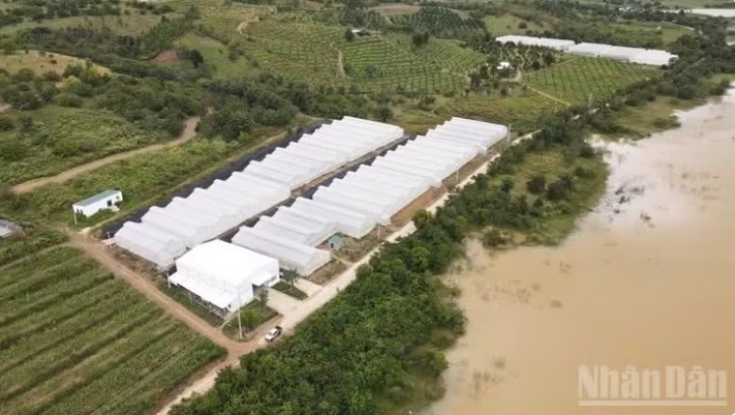 Khanh Hoa builds brand for clean agricultural products