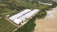 Khanh Hoa builds brand for clean agricultural products