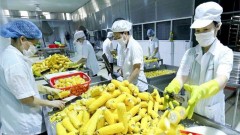 Vietnamese businesses race to comply with China’s new regulations