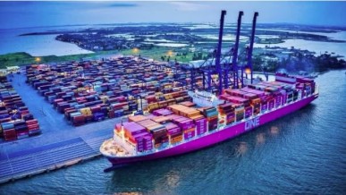 Logistics human resource development in new era