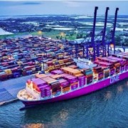 Logistics human resource development in new era