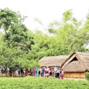 President Ho Chi Minh’s hometown in season of fragrant lotus blooms