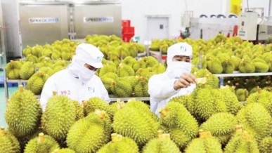 Tighter control over agricultural supply chains