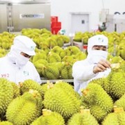 Tighter control over agricultural supply chains