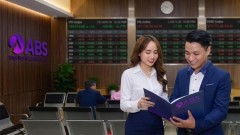 Two main scenarios for the VN-Index