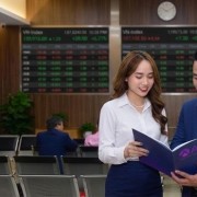 Two main scenarios for the VN-Index
