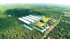 Turning Data into “Collateral” for Green Finance