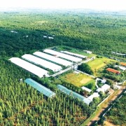 Turning Data into “Collateral” for Green Finance