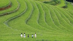 Regional connectivity – Creating new momentum for Viet Nam’s tourism development