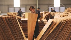 Vietnam’s wood industry accelerates to meet EU’s new rules
