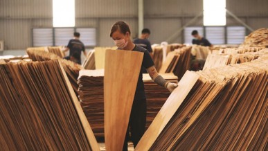 Vietnam’s wood industry accelerates to meet EU’s new rules