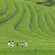 Regional connectivity – Creating new momentum for Viet Nam’s tourism development