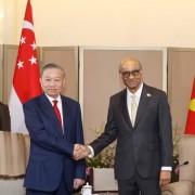 Vietnam, Singapore to promote sci-tech, innovation as pillar of Comprehensive Strategic Partnership