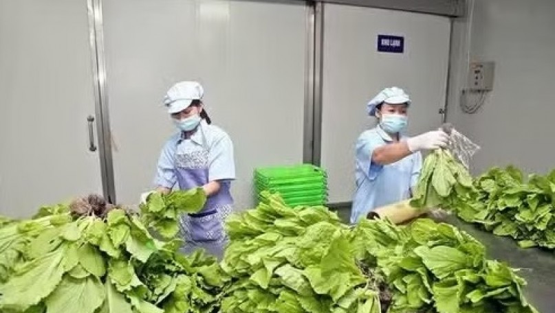 Path forward for Vietnamese agricultural products