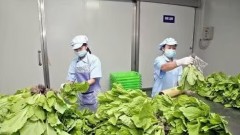 Path forward for Vietnamese agricultural products