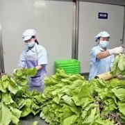 Path forward for Vietnamese agricultural products