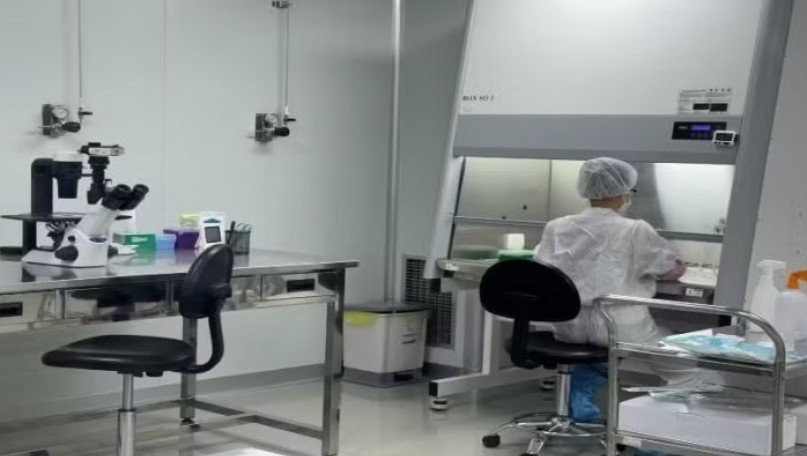Prioritising funding for basic research linked to strategic technologies