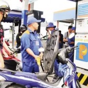 Biofuel use marks a new step forward in Viet Nam’s emissions reduction roadmap