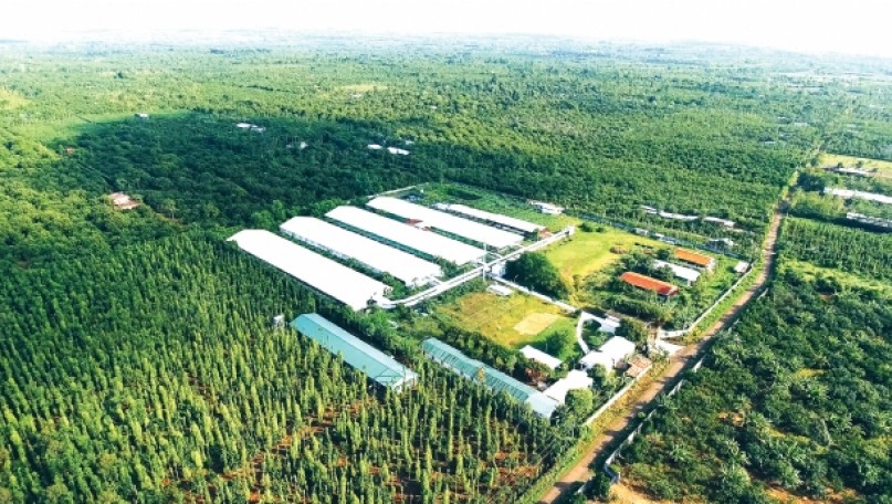 Turning Data into “Collateral” for Green Finance