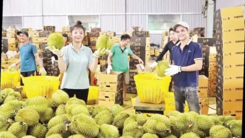 Removing obstacles and expanding capital sources for agricultural sector