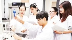 Digital capacity in comprehensive human development