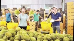 Removing obstacles and expanding capital sources for agricultural sector